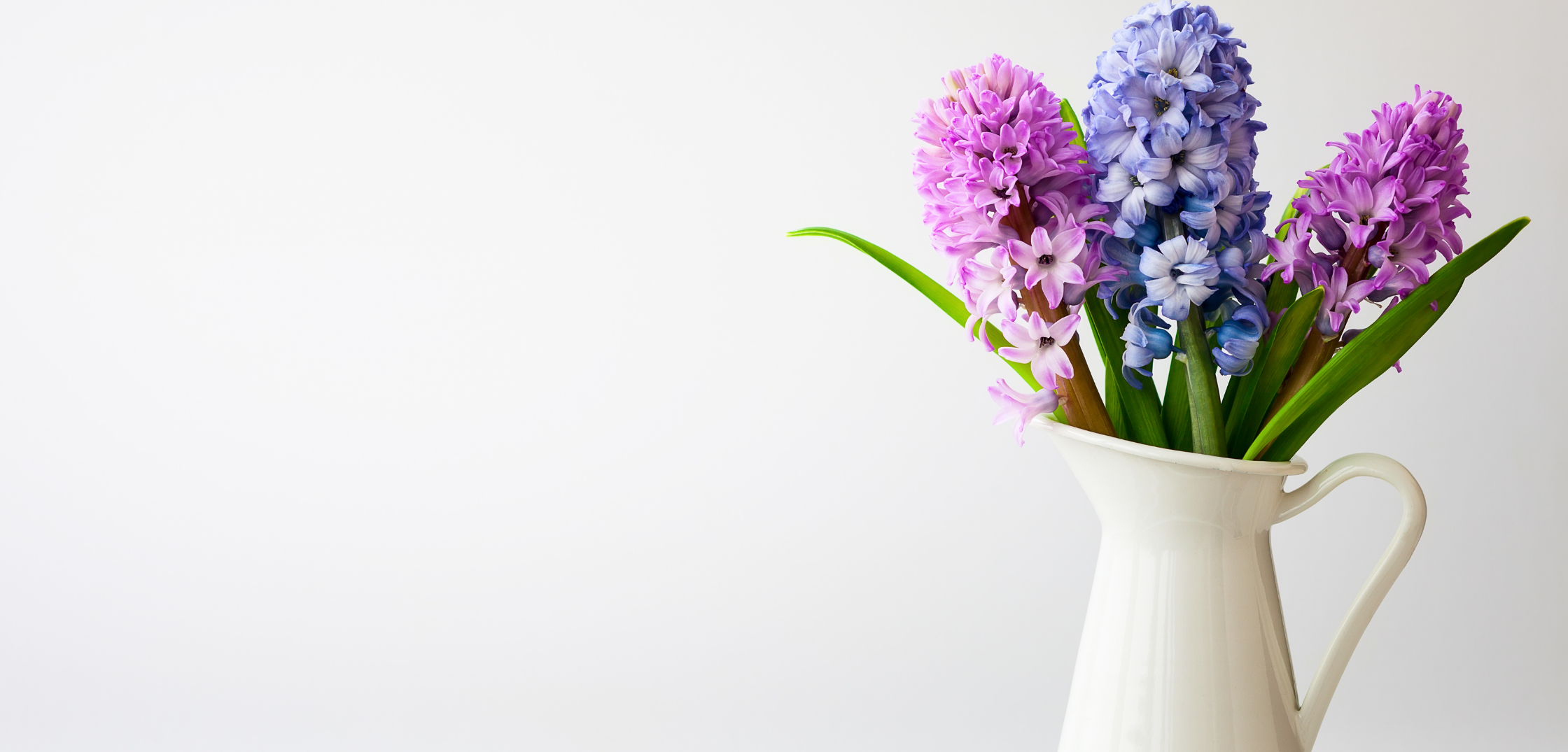 Welcome to Kingsclere Dental Practice